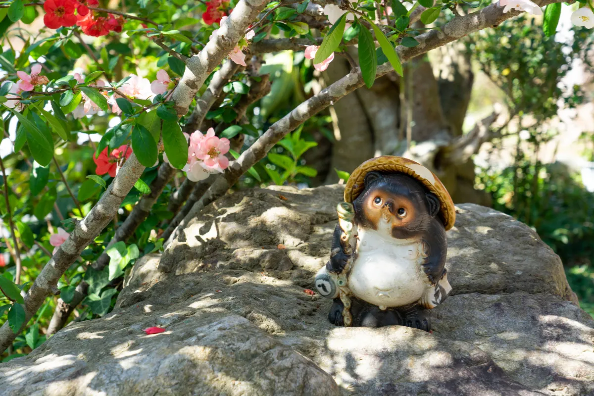 tanuki